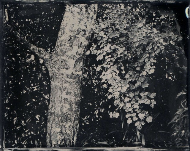 FrankAmatoPhotographer